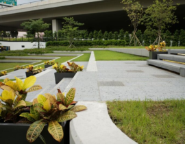 Blog 6